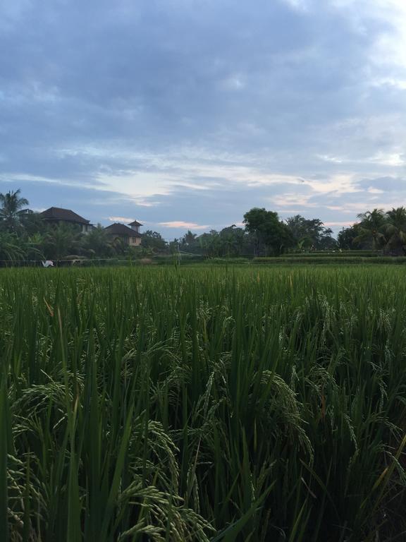 Pondok Buda Merta อูบุด ภายนอก รูปภาพ