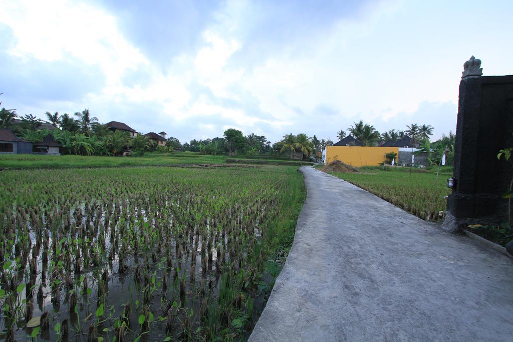 Pondok Buda Merta อูบุด ภายนอก รูปภาพ